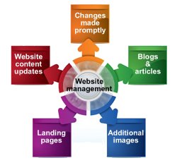 web design and development